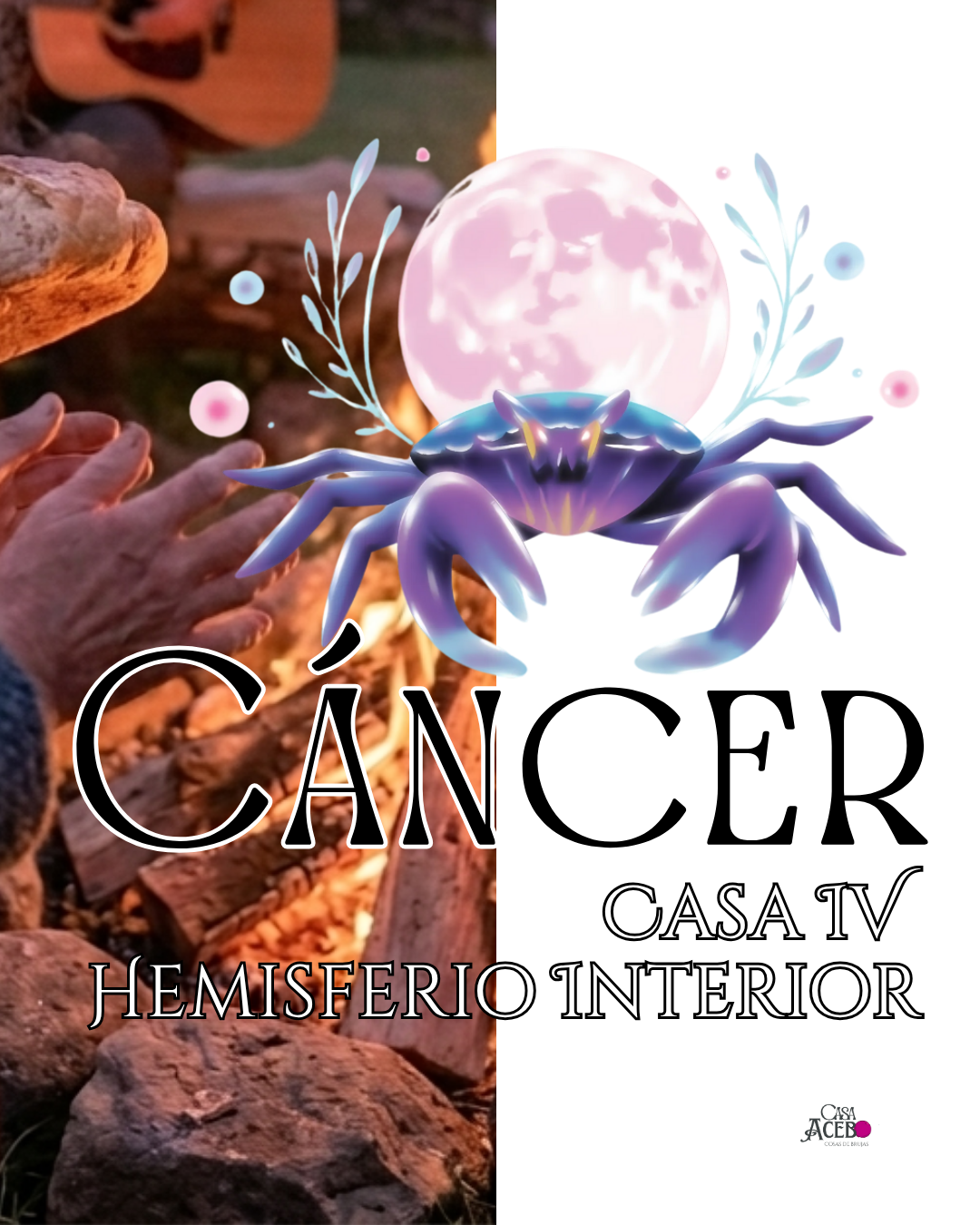 Cáncer: El calor del refugio